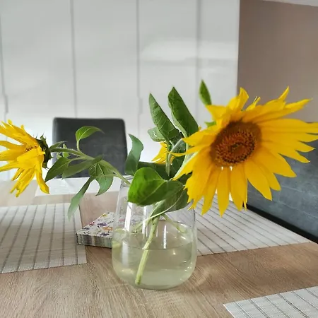 Pokoje Rodzinne Perla Slaska Apartment